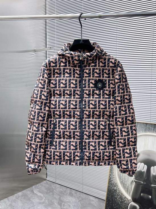 Picture of Fendi Down Jackets _SKUFendiM-3XL25wr1137735